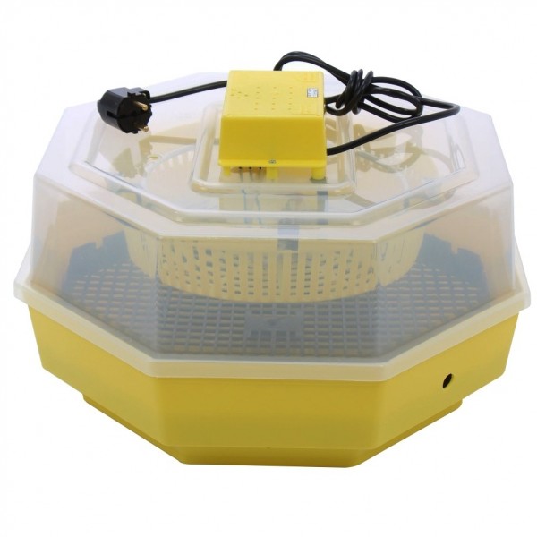 Incubator electric Cleo 5