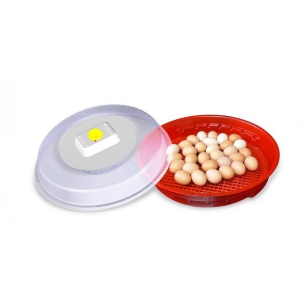 Incubator pentru oua IO-102TH