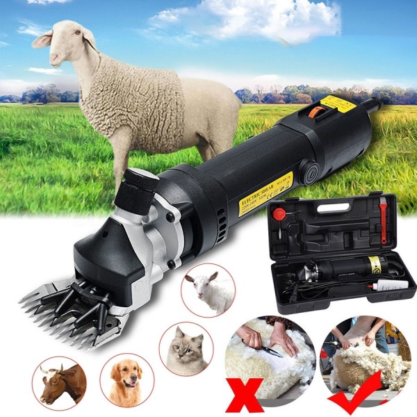 Masina de tuns oi Straus Austria SCH 300