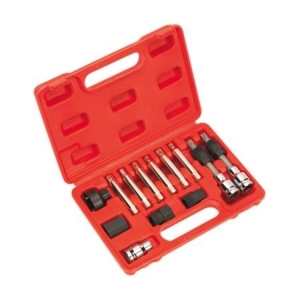 Trusa profesionala montare, demontare Fulie Alternator