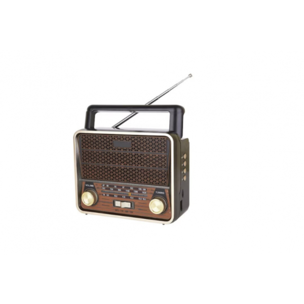 Radio portabil design retro RDO-TF12